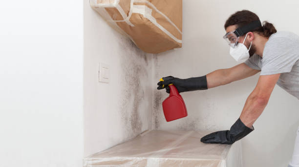 Professional Crawl Space Mold Removal technician working in Clear Brook, VA
