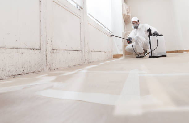Trusted Crawl Space Mold Removal service in Clear Brook, VA - WQB Mold Removal