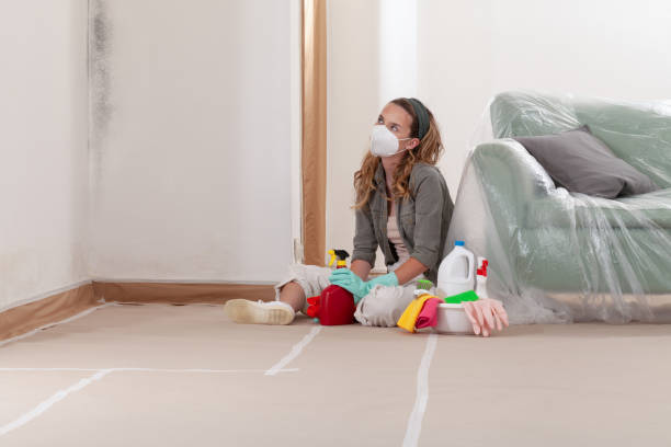 Reliable Crawl Space Mold Removal contractor in Clear Brook, VA by WQB Mold Removal