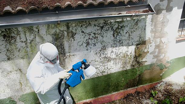 Top rated local Crawl Space Mold Removal specialists in Clear Brook, VA